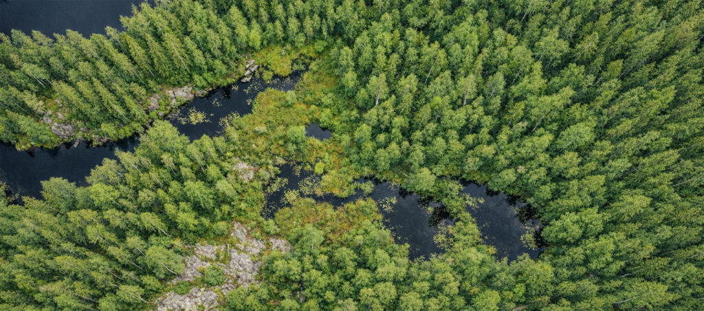 fotorealistinen kuva suomalaisesta metsästä drone (2) suomi copy